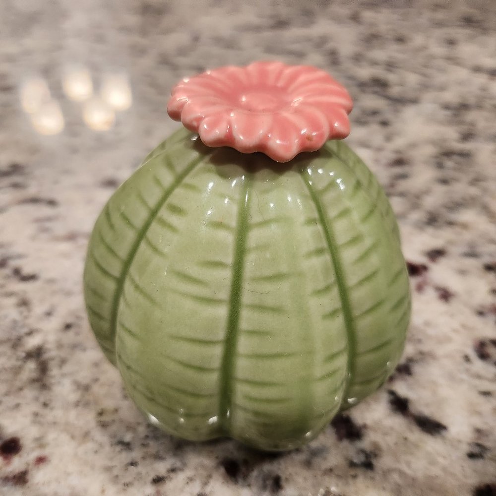 Cactus decor